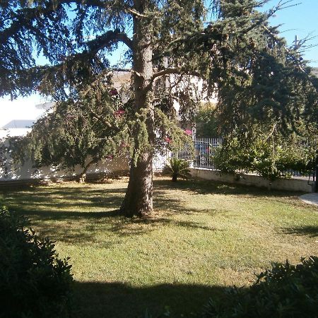 סאלבה B&B Il Cedro מראה חיצוני תמונה