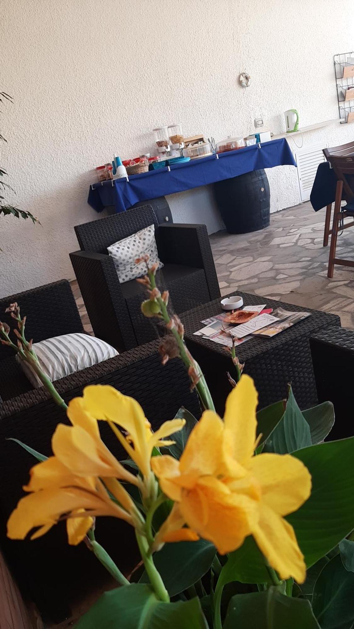 סאלבה B&B Il Cedro מראה חיצוני תמונה