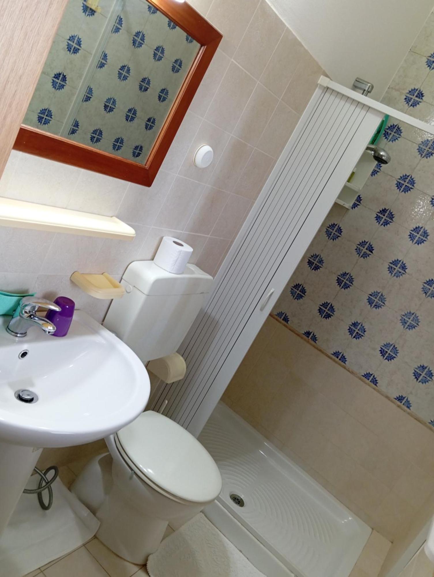 סאלבה B&B Il Cedro מראה חיצוני תמונה
